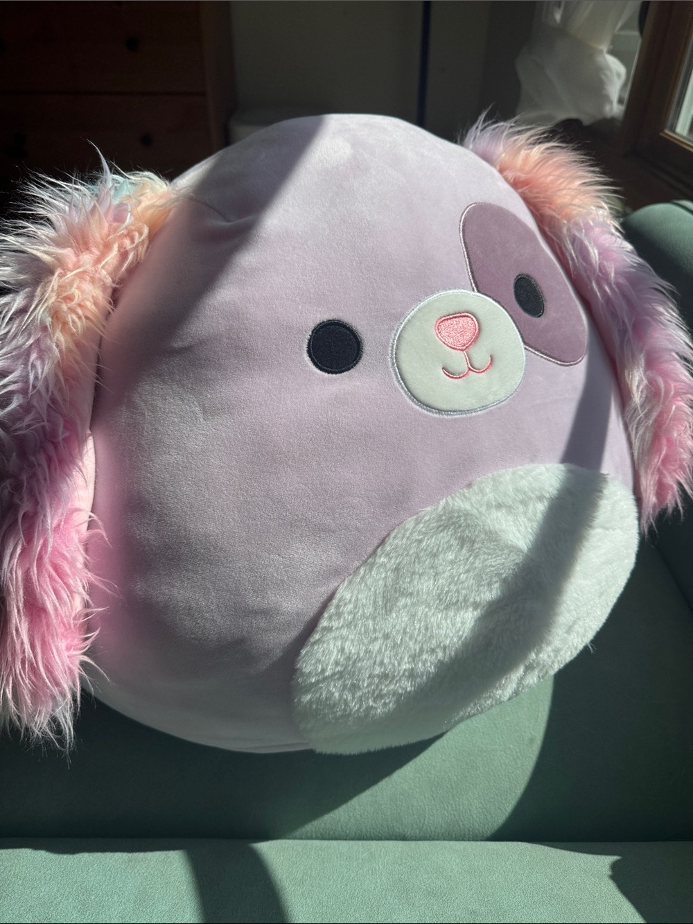 Squishmallows Lavender Puppy (Barb the dog, Target exclusive) w Rainbow Fur Ears